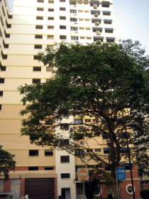 Blk 773 Pasir Ris Street 71 (Pasir Ris), HDB 4 Rooms #134692